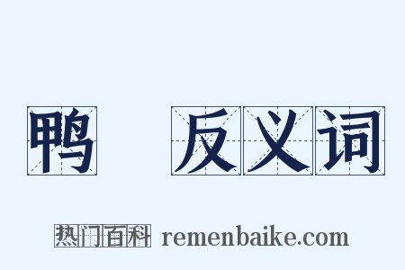鸭緑反义词是什么意思的图片